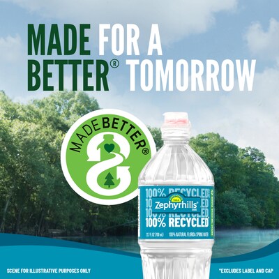 Zephyrhills 100% Natural Spring Water, 33.8 oz., 15 Bottles/Carton (11475332)