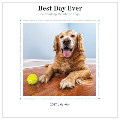2027 TF Publishing Best Day Ever: Dogs 12 x 12 Monthly Wall Calendar (27-1001)