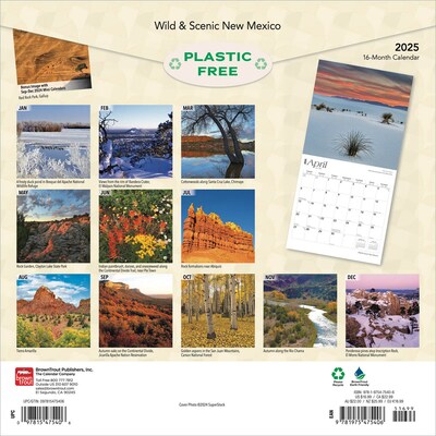 2025 BrownTrout New Mexico Wild & Scenic 12 x 12 Monthly Square Wall Calendar (9781975475406)