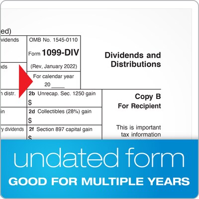 Adams 2023 1099-DIV Tax Forms, 5-Part, 10/Pack (STAX5DV-23)