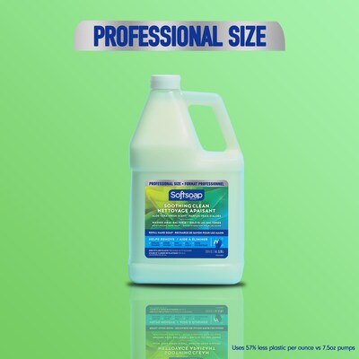 Softsoap Liquid Hand Soap Refill, Aloe Vera Scent, 1 Gallon (61036483)
