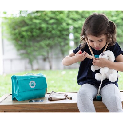 PlanToys Vet Toy Set (PTS3490)