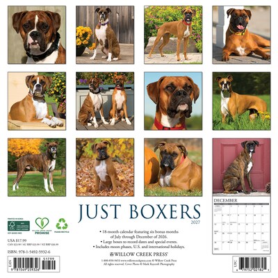 2027 Willow Creek Boxers 12 x 12 Monthly Wall Calendar, Assorted Colors (59326)