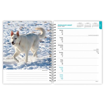 2027 BrownTrout German Shepherds 6.5" x 7.8" Calendar Year Weekly Standard Planner, Multicolor (9798330709496