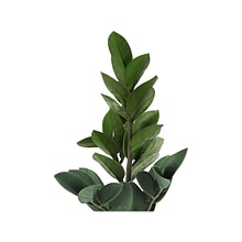 Monarch Specialties Inc. ZZ Plant in Pot (I 9500)