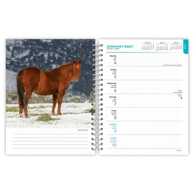 2027 BrownTrout Horse Lovers 6.5" x 7.8" Calendar Year Weekly Standard Planner, Multicolor (9798330709458)
