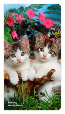 2026-2027 BrownTrout Kitten Cuddles 3.5 x 6.5 Monthly Planner (9798330704088)