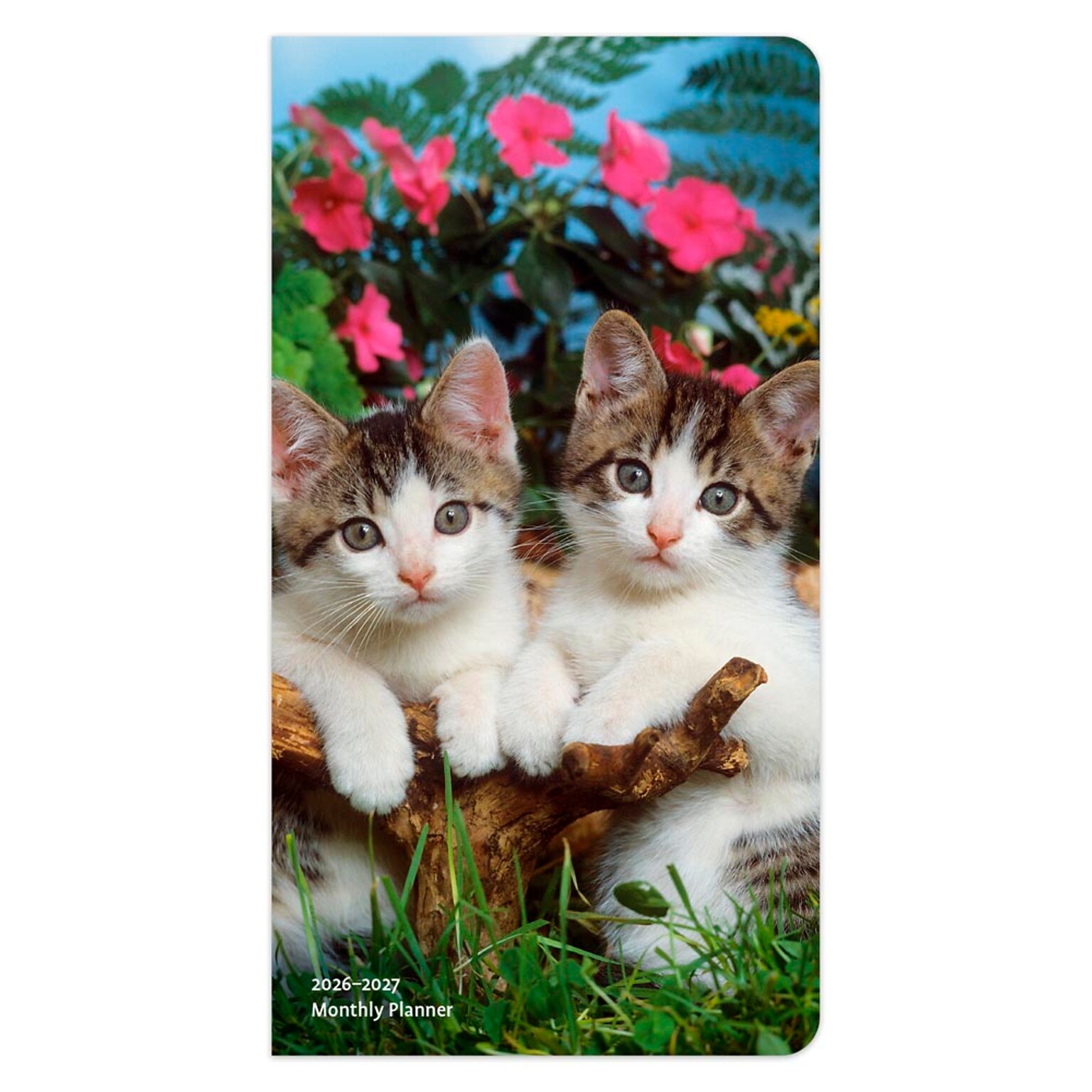 2026-2027 BrownTrout Kitten Cuddles 3.5 x 6.5 Monthly Planner (9798330704088)