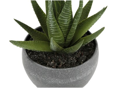 Monarch Specialties Inc. Succulents in Pots, 3/Pack (I 9587)