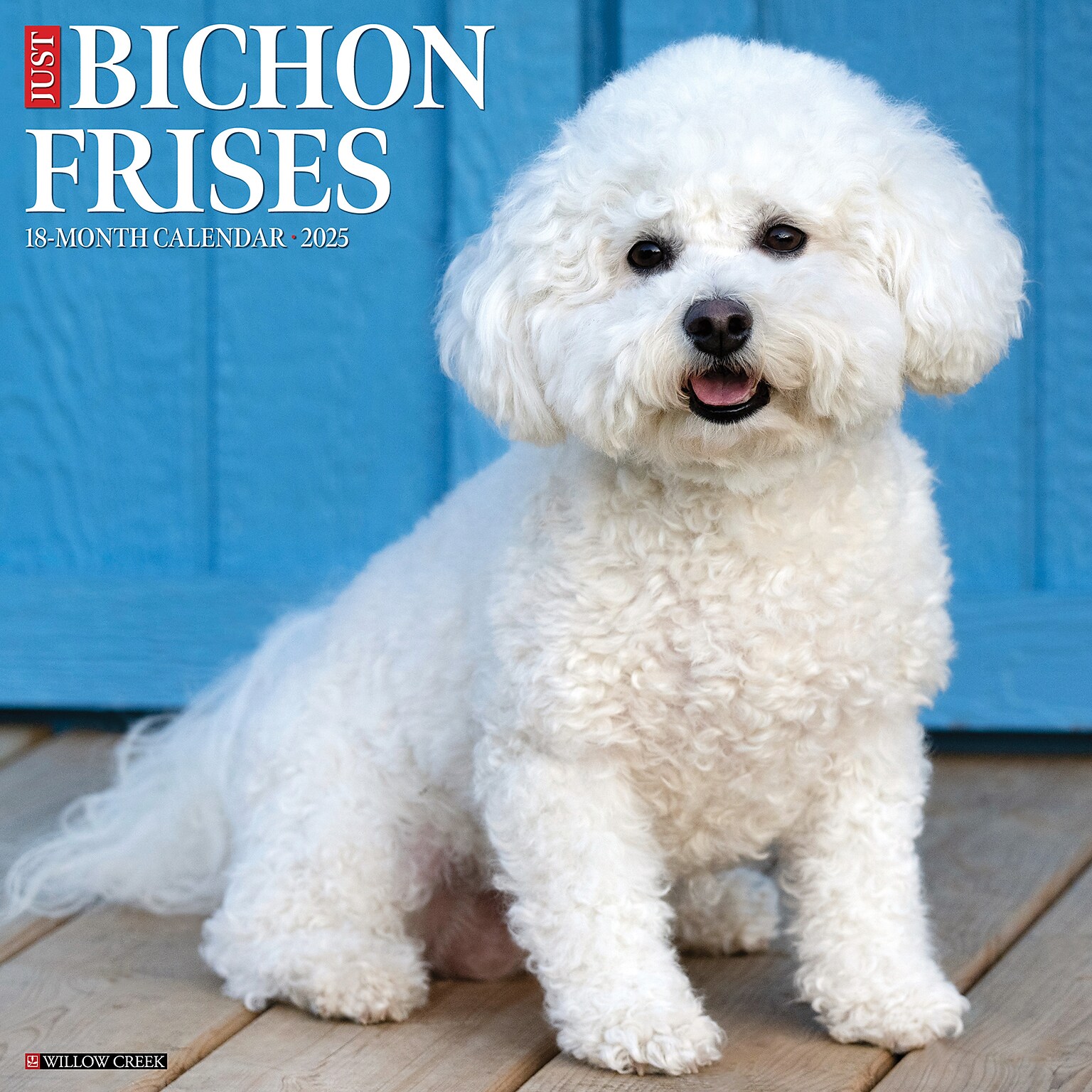 2025 Willow Creek Just Bichons Frises 12 x 12 Monthly Wall Calendar (41741)
