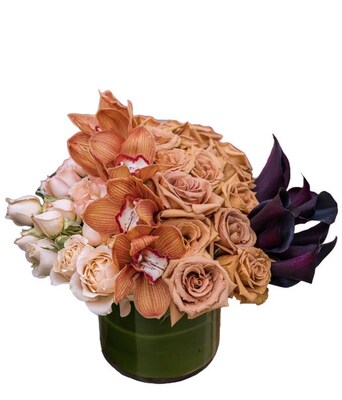 H.Bloom Chocolate Kiss Luxe Flowers