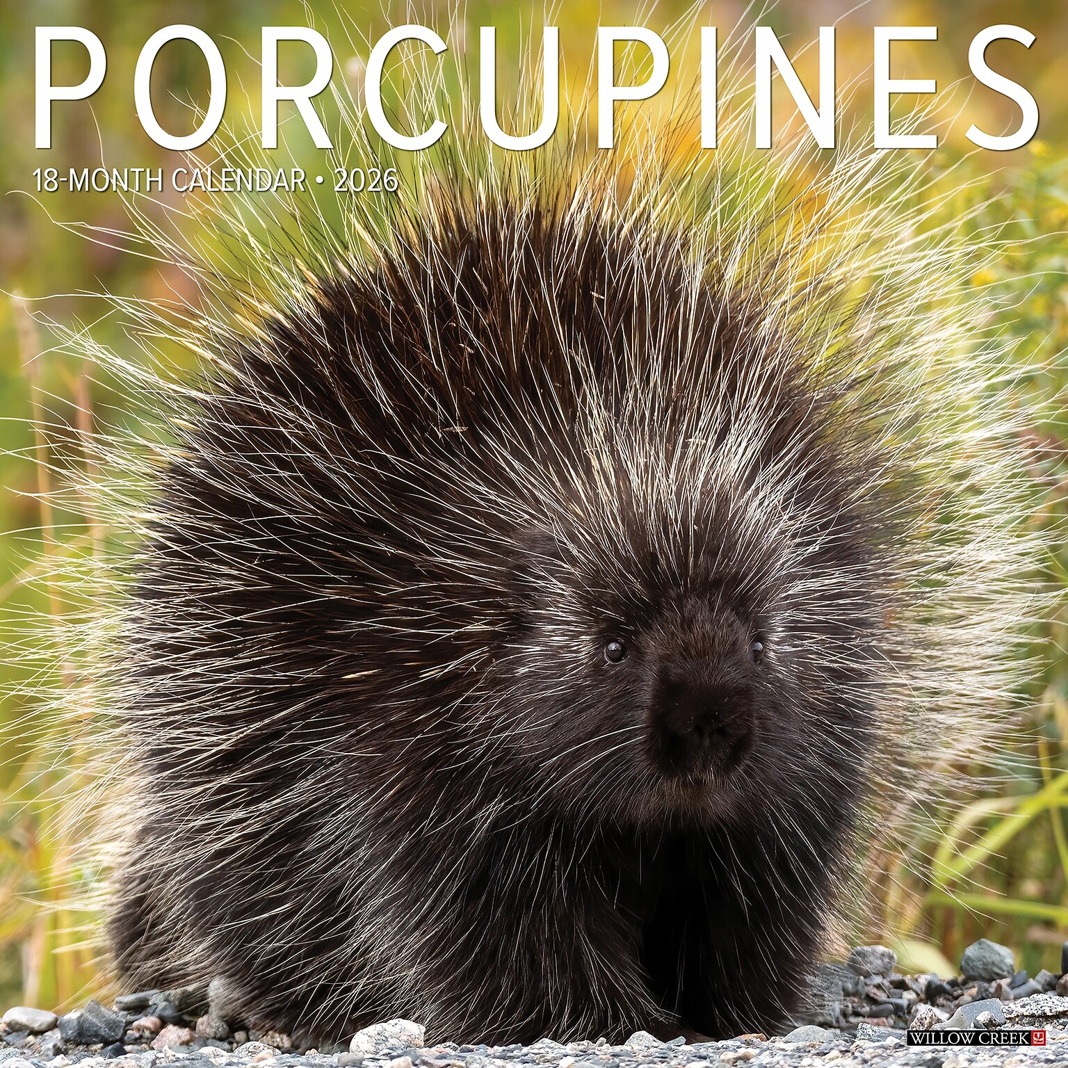2026 Willow Creek Porcupines 12 x 12 Monthly Wall Calendar (56066)