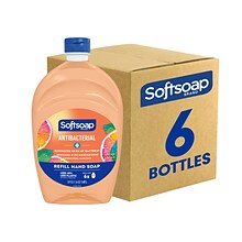 Softsoap Antibacterial Liquid Hand Soap Refill for Dispenser, Crisp Clean Scent, 6/Carton (US05261AC