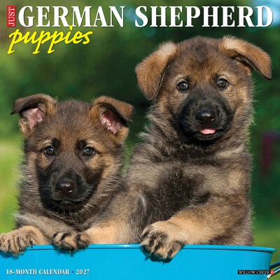 2027 Willow Creek German Shepherd Puppies 12 x 12 Monthly Wall Calendar, Assorted Colors (60360)