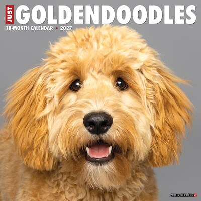 2027 Willow Creek Goldendoodles  12 x 12 Monthly Wall Calendar (60469)