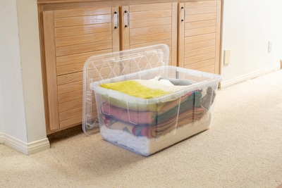 Greenmade 27 Gallon Storage Bin with Snap Lid, Plastic, Clear (781020)