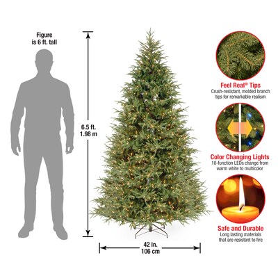 National Tree Company Frasier Grande Artificial Christmas Trees (PEFG4-308D-65)