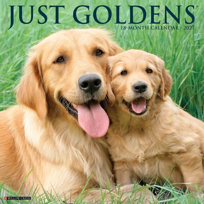 2027 Willow Creek Goldens 12 x 12 Monthly Wall Calendar (60476)
