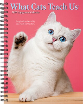 2027 Willow Creek What Cats Teach Us 6.5 x 8.5 Weekly & Monthly Desk Calendar (64443)