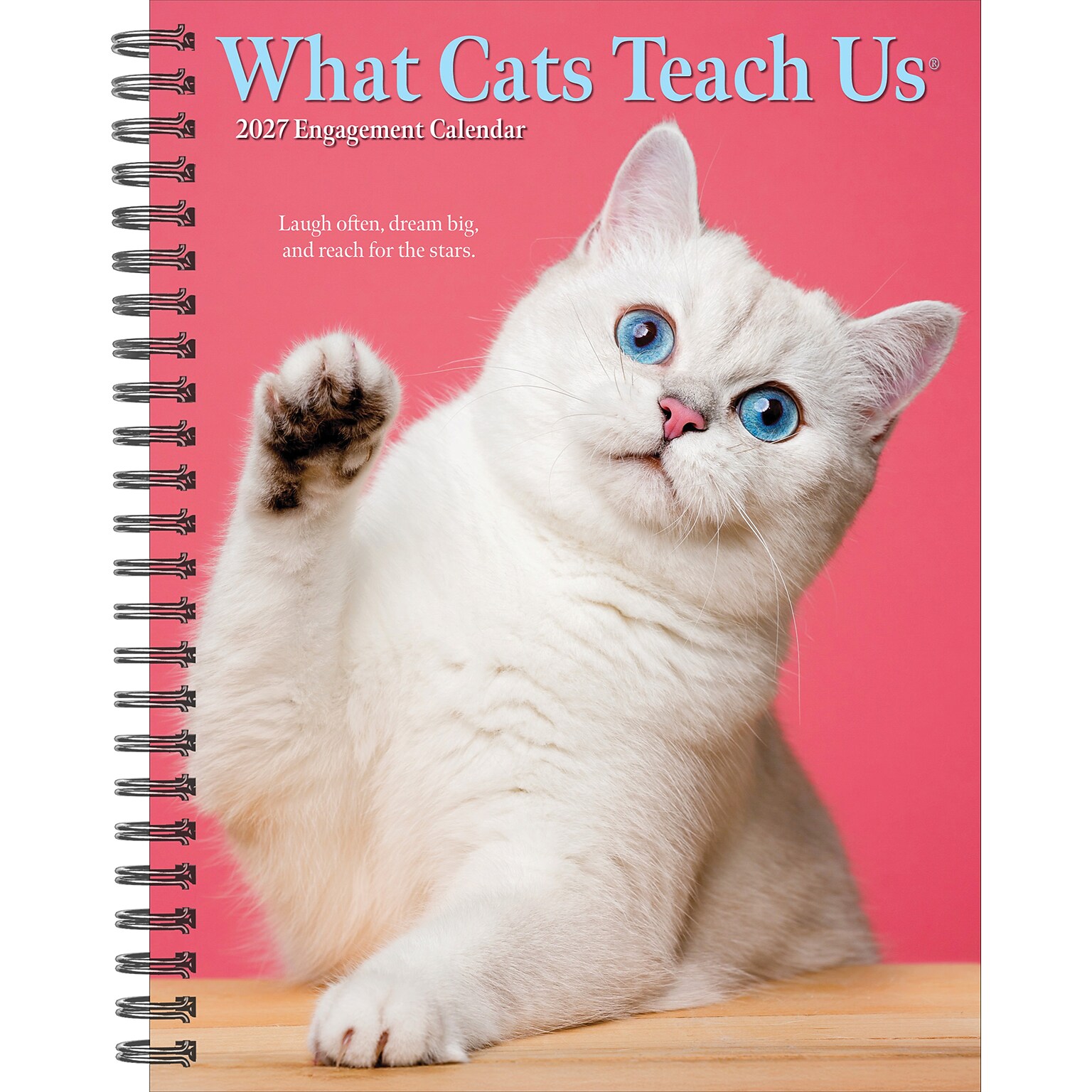 2027 Willow Creek What Cats Teach Us 6.5 x 8.5 Weekly & Monthly Desk Calendar (64443)
