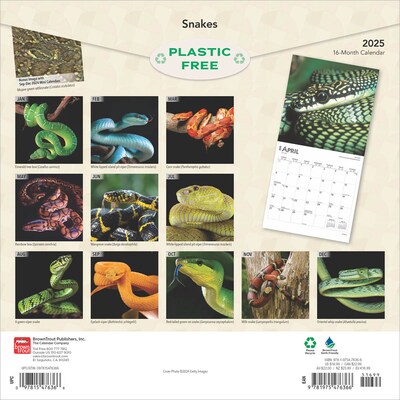2025 BrownTrout Snakes 12 x 12 Monthly Square Wall Calendar (9781975476366)