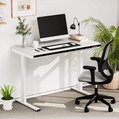 FlexiSpot ED2 48"W Electric Adjustable Standing Desk, White (ED2W-E)