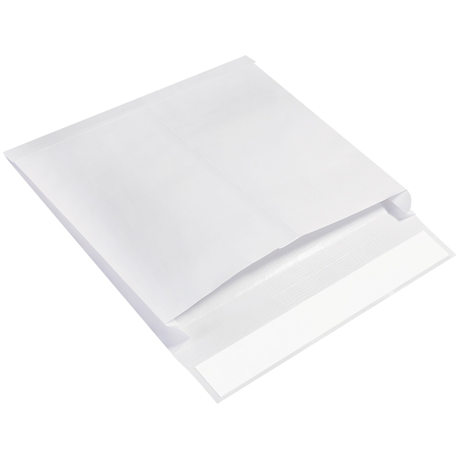 Ship-Lite Self Seal Catalog Envelope 12 x 16, White, 100/Carton (SLE12162WS)