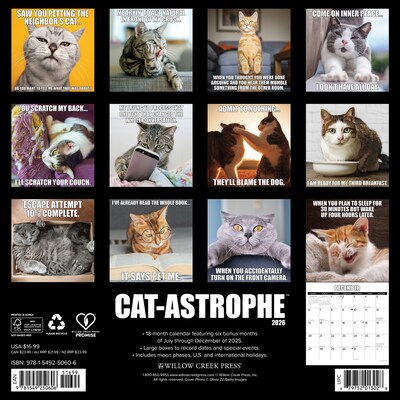 2026 Willow Creek Cat-astrophe 12 x 12 Monthly Wall Calendar (50606X)