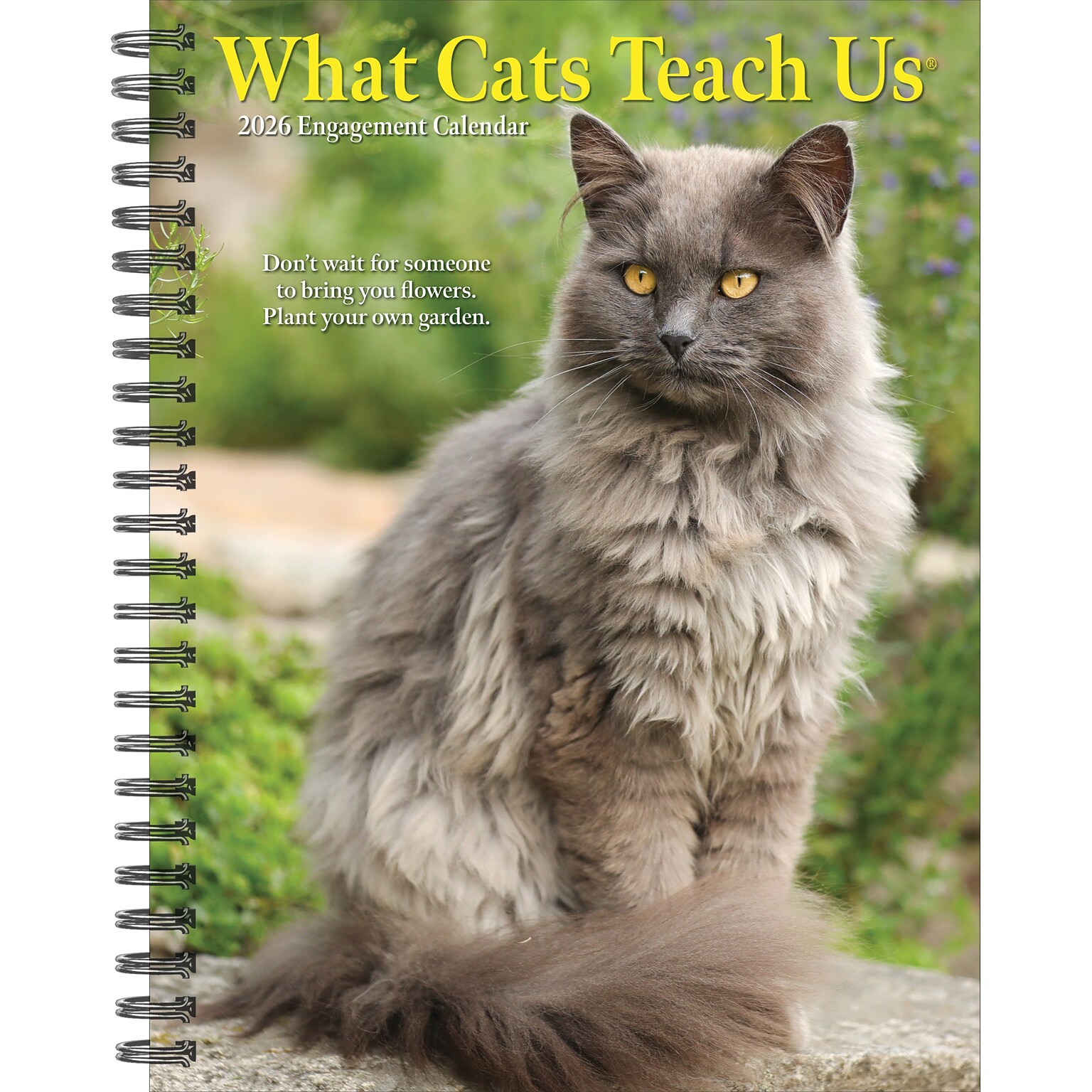 2026 Willow Creek What Cats Teach Us 6.5 x 8.5 Daily & Monthly Personal Organizer (54666)