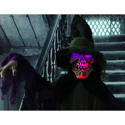 Haunted Hill Farm Life-Size Poseable Skeleton Witch (HHWITCH-6FL)