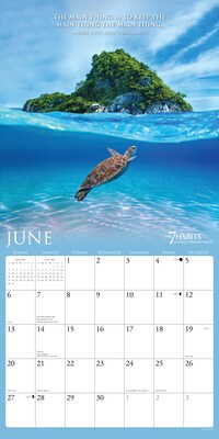 2027 Willow Creek 12" x 12" Monthly Wall Calendar, Assorted Colors (58596)