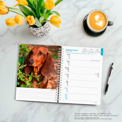 2027 BrownTrout Dachshunds 6.5" x 7.8" Calendar Year Weekly Standard Planner, Multicolor (9798330709489)