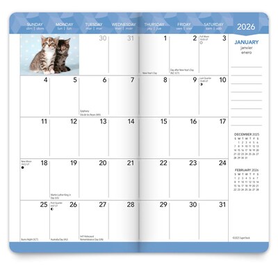 2026-2027 BrownTrout Kitten Cuddles 3.5" x 6.5" Monthly Planner (9798330704088)
