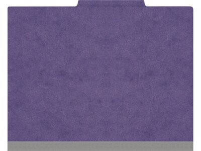 Medical Arts Press Pressboard Classification Folder, 2-Dividers, 2 Expansion, Letter Size, Purple, 10/Box (DV-T42-26-3PRP-PKT)