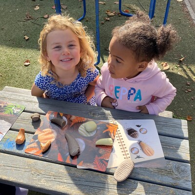 Yellow Door Prehistoric Teeth Explore and Discover Activity Cards, 16/Set (YUS1203)