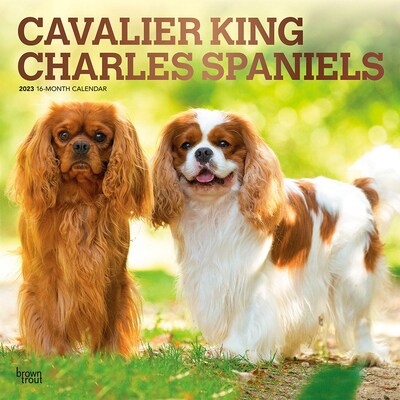 2023 BrownTrout Cavalier King Charles Spaniels 12 x 12 Monthly Wall Calendar (9781975449162)