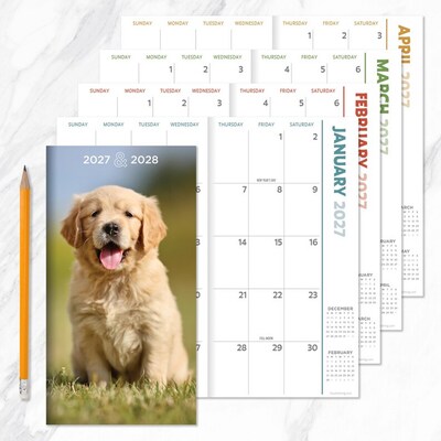 2027 TF Publishing Dogs 3.5" x 6.5"  Monthly Standard Planner, Paperboard Cover, Multicolored (27-7016)