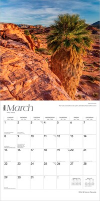 2026 BrownTrout Nevada Wild & Scenic 12" x 12" Monthly Wall Calendar (9798330704828)