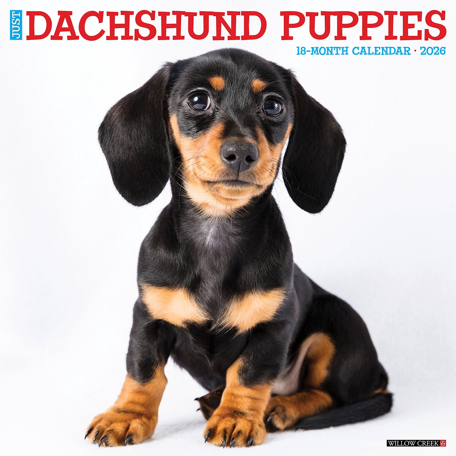 2026 Willow Creek Dachshund Puppies 12 x 12 Monthly Wall Calendar (50927)