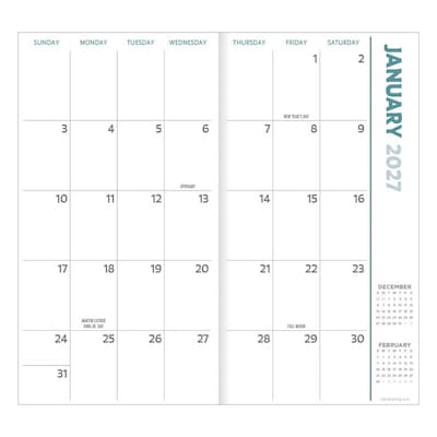 2027 TF Publishing Pink Kitty 3.5 x 6.5  Monthly Standard Planner, Paperboard Cover, Multicolored (27-7018)