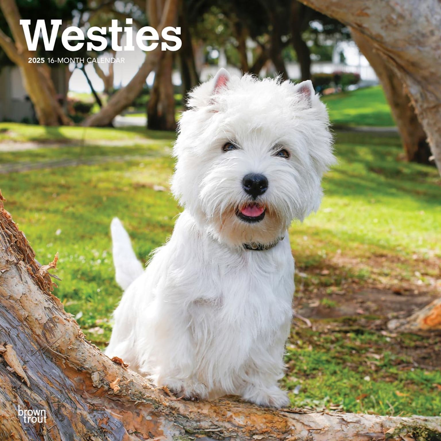 2025 BrownTrout West Highland White Terriers 12 x 12 Monthly Wall Calendar (9781975477974)