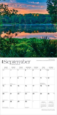 2026 BrownTrout South Carolina Wild & Scenic 12" x 12" Monthly Wall Calendar (9798330705658)