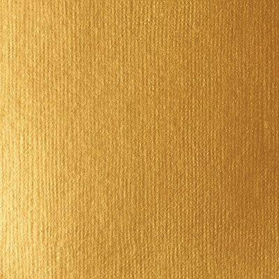 Liquitex BASICS Acrylic Paint Tube, Gold, 250 mL (LIQ4385051)
