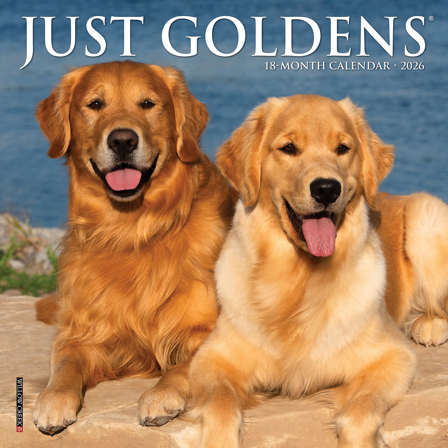 2026 Willow Creek Just Goldens 7 x 7 Monthly Wall Calendar (53607)