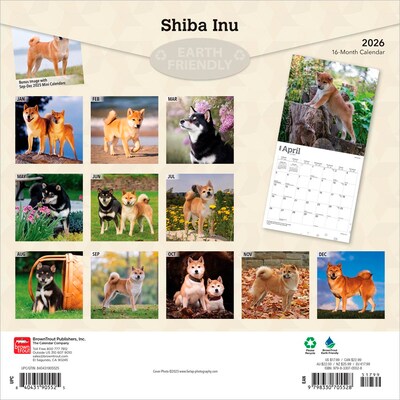 2026 BrownTrout Shiba Inu 12 x 12 Monthly Wall Calendar (9798330705528)