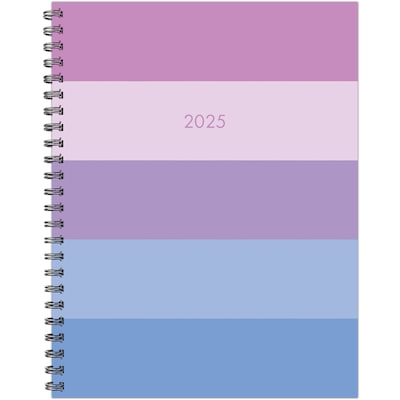 2025 Willow Creek 8.5 x 11 Weekly & Monthly Planner Cover, Soft Stripe (48610)