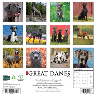 2026 Willow Creek Great Danes 12 x 12 Monthly Wall Calendar (51351)