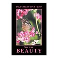 Medical Arts Press® Eye Care Standard 4x6 Postcards; Beauty/Butterfly
