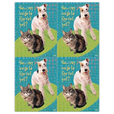 Humorous Postcards; for Laser Printer; Can we go to the vet yet, 100/Pk