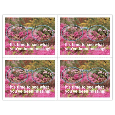 Scenic Laser Postcards; See All There Is, 100/Pk